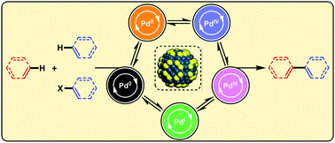 Graphical abstract: Catalytic C–H bond functionalisation chemistry: the case for quasi-heterogeneous catalysis