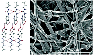 Graphical abstract: Gelation by supramolecular dimerization of mono(urea)s