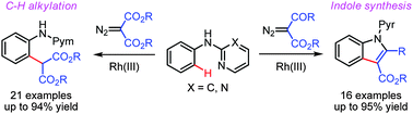 Graphical abstract: Direct C–H alkylation and indole formation of anilines with diazo compounds under rhodium catalysis