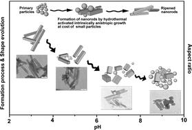 morphology of the nanophosphor Ca9Eu(PO4)7 