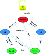 graphical abstract