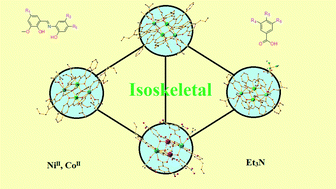 Graphical abstract: Isoskeletal Schiff base polynuclear coordination clusters: synthetic and theoretical aspects