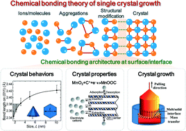 Graphical Abstract