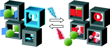 Graphical Abstract