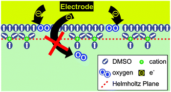 Graphical abstract: Oxygen reduction and oxygen evolution in DMSO based electrolytes: the role of the electrocatalyst
