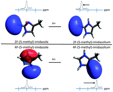 Graphical abstract: Demystifying fluorine chemical shifts: electronic structure calculations address origins of seemingly anomalous 19F-NMR spectra of fluorohistidine isomers and analogues