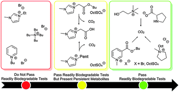 Graphical abstract: Biodegradation of ionic liquids – a critical review