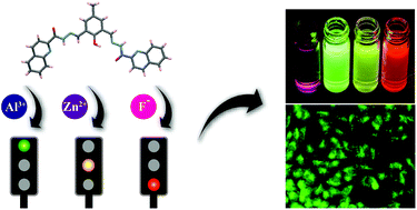 Graphical abstract: A sole multi-analyte receptor responds with three distinct fluorescence signals: traffic signal like sensing of Al3+, Zn2+ and F−