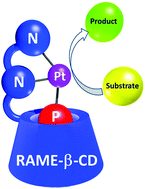 Graphical Abstract