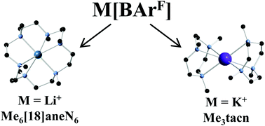 Graphical Abstract