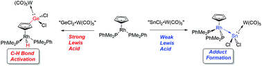 graphical abstract