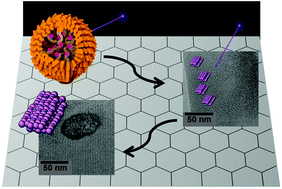 graphical abstract