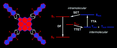 Graphical abstract: Interplay between singlet and triplet excited states in a conformationally locked donor–acceptor dyad