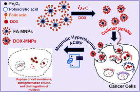 graphical abstract