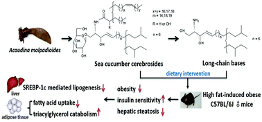 Graphical Abstract