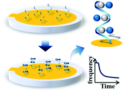 Graphical Abstract