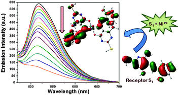 Graphical abstract: Highly selective colorimetric and reversible fluorometric turn-off sensors based on the pyrimidine derivative: mimicking logic gate operation and potential applications