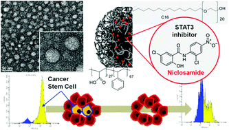 Graphical abstract: Enriched inhibition of cancer and stem-like cancer cells via STAT-3 modulating niclocelles