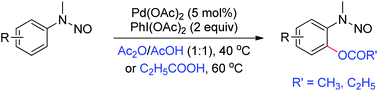 Graphical abstract: Palladium-catalyzed ortho-acyloxylation of N-nitrosoanilines via direct sp2 C–H bond activation