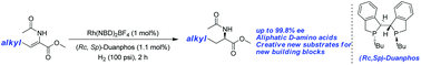 Graphical abstract: Highly enantioselective synthesis of non-natural aliphatic α-amino acids via asymmetric hydrogenation