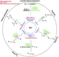 Graphical abstract: Photocatalytic fluoroalkylation reactions of organic compounds