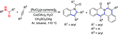 Graphical abstract: Synthesis of indoles and polycyclic amides via ruthenium(ii)-catalyzed C–H activation and annulation