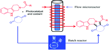 Graphical abstract: Visible-light photoredox catalysis: direct synthesis of fused β-carbolines through an oxidation/[3 + 2] cycloaddition/oxidative aromatization reaction cascade in batch and flow microreactors