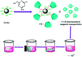 Graphical abstract: Efficient heavy metal ion removal by triazinyl-β-cyclodextrin functionalized iron nanoparticles