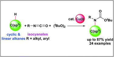Graphical abstract: Copper-catalyzed intermolecular C(sp3)–H bond functionalization towards the synthesis of tertiary carbamates