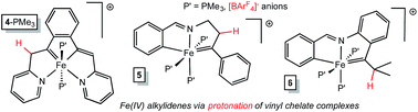 Graphical abstract: Fe(iv) alkylidenes via protonation of Fe(ii) vinyl chelates and a comparative Mössbauer spectroscopic study