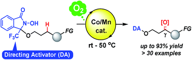 Graphical abstract: Chemo- and regioselective oxygenation of C(sp3)–H bonds in aliphatic alcohols using a covalently bound directing activator and atmospheric oxygen