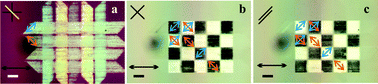 Graphical abstract: In situ laser-imprinted surface realignment of a nematic liquid crystal