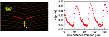 Graphical abstract: Anisotropic colloidal transport and periodic stick-slip motion in cholesteric finger textures