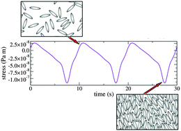 Graphical abstract: Modelling the rheology of anisotropic particles adsorbed on a two-dimensional fluid interface