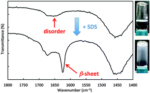 Graphical abstract: Surfactant-induced assembly of enzymatically-stable peptide hydrogels