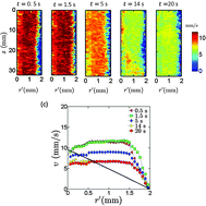 Graphical abstract: Heterogeneous flow kinematics of cellulose nanofibril suspensions under shear