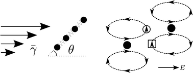 Graphical abstract: Transverse migration of polyelectrolytes in microfluidic channels induced by combined shear and electric fields