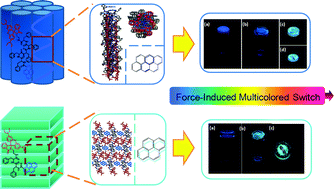 Graphical abstract: Controllable multicolor switching of oligopeptide-based mechanochromic molecules: from gel phase to solid powder