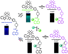 Graphical abstract: A highly selective fluorescence sensor for Zn2+ and Cu2+ based on diarylethene with a piperazine-linked amidoquinoline unit