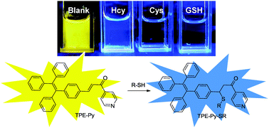 Graphical abstract: A fluorescent probe with aggregation-induced emission characteristics for distinguishing homocysteine over cysteine and glutathione