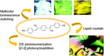 Graphical abstract: Multiresponsive luminescent dicyanodistyrylbenzenes and their photochemistry in solution and in bulk