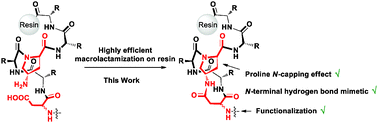 Graphical abstract: A proline-derived transannular N-cap for nucleation of short α-helical peptides