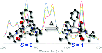 Graphical abstract: Two-state reactivity in C–H activation by a four-coordinate iron(0) complex