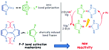 graphical abstract