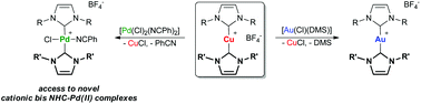 graphical abstract