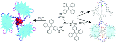 Graphical abstract: Phosphate-induced fluorescence of a tetraphenylethene-substituted tripodal tris(urea) receptor