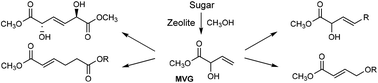 MVG reaction pathways