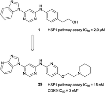 Graphical abstract: Discovery of 4,6-disubstituted pyrimidines as potent inhibitors of the heat shock factor 1 (HSF1) stress pathway and CDK9