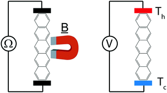 Graphical abstract: Non-conventional charge transport in organic semiconductors: magnetoresistance and thermoelectricity