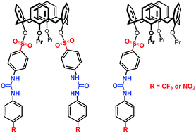 Graphical abstract: Calix[4]arenes containing a ureido functionality on the lower rim as highly efficient receptors for anion recognition